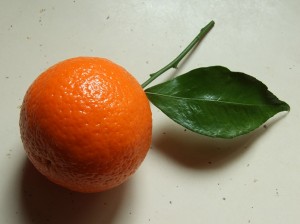 冬の旬なフルーツみかん