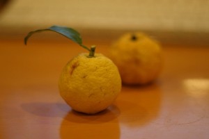 秋の旬なフルーツゆず