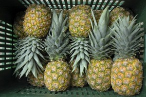 s_夏が旬のパイナップル