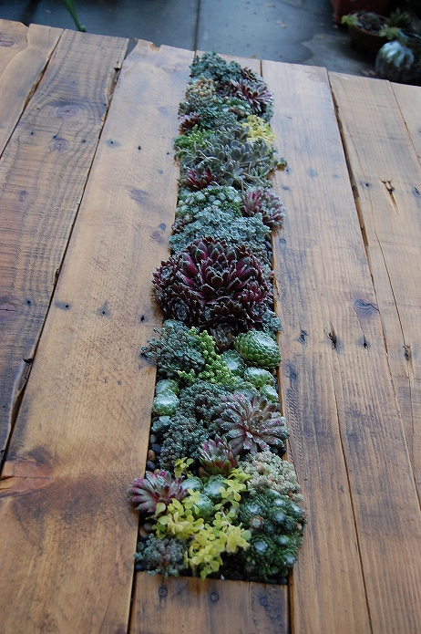 お庭でガーデニング・観葉植物をもっと可愛くおしゃれに!プランター・鉢を木製パレットでDIYする015