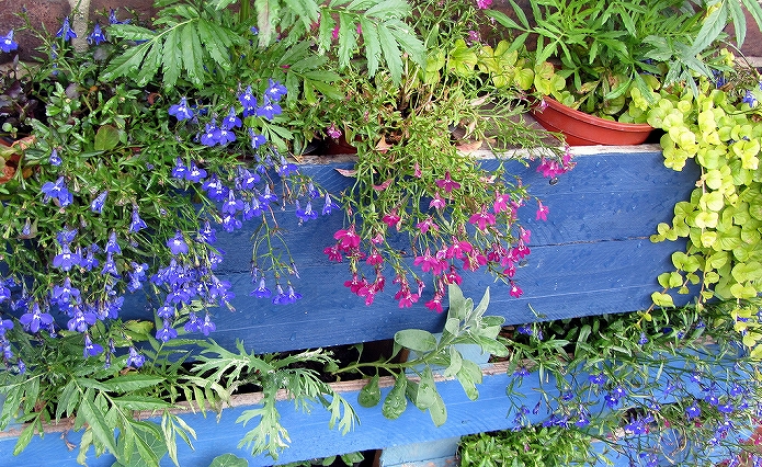 お庭でガーデニング・観葉植物をもっと可愛くおしゃれに!プランター・鉢を木製パレットでDIYする006
