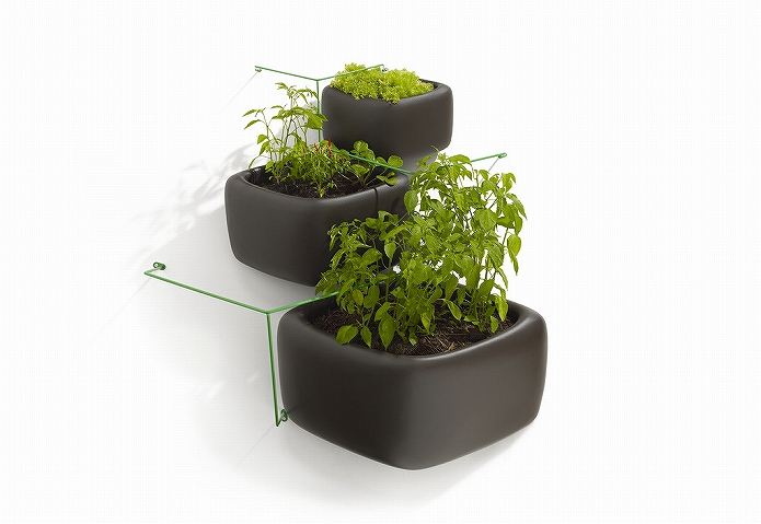 壁をおしゃれに観葉植物を飾って有効活用!壁掛けプランター・鉢・ガーデニングポットの使い方005