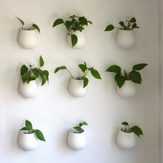 壁をおしゃれに観葉植物を飾って有効活用!壁掛けプランター・鉢・ガーデニングポットの使い方003