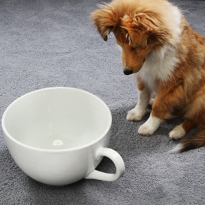 大きなマグカップはいかが　わんちゃんび呆然