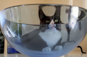 赤ワインで自家製サングリア　おうちカフェでホームパーティーしよ♪001