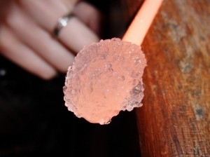 ミントジュレップ飲む？フレッシュミントでさっぱりレシピ003