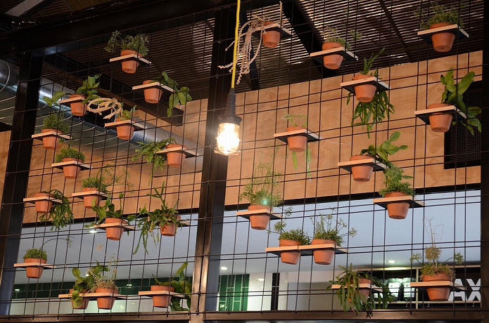 観葉植物をインテリアに 参考になる画像006