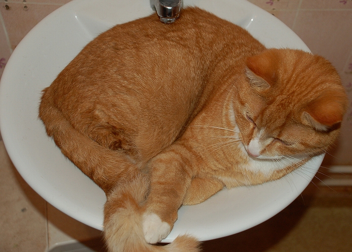 洗面台・トイレの水周りも重要なおうちカフェインテリア　清潔・キレイにして風水力アップ！