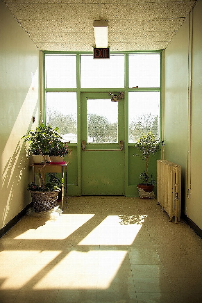 吹き抜けや窓際に観葉植物を置くとおしゃれになる10