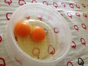 たまごが双子だった！なんだかハッピーな気分になったよ002