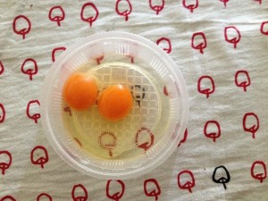 たまごが双子だった！なんだかハッピーな気分になったよ001