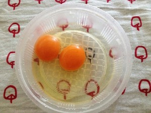 たまごが双子だった！なんだかハッピーな気分になったよ000
